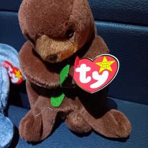 Beanie babbies